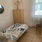 Ape Piano d'Arta